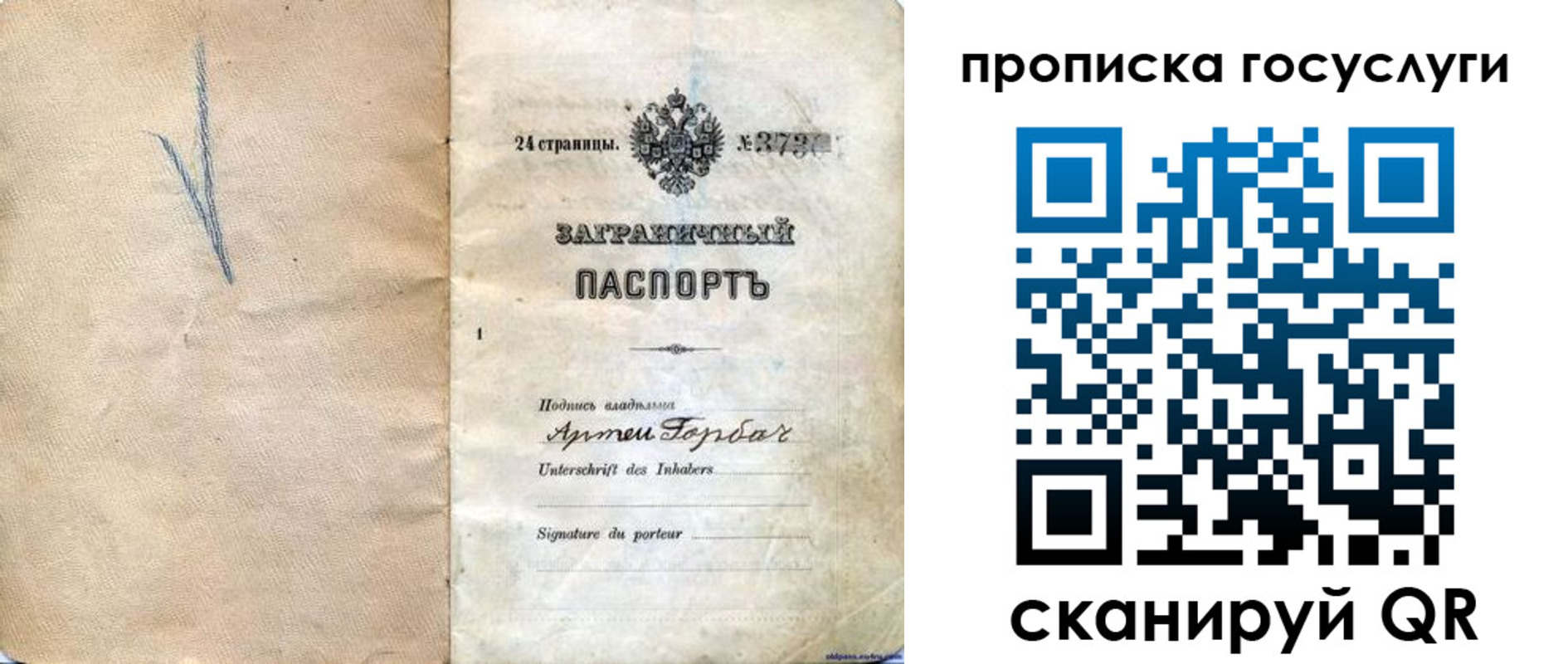прописка законно в Сальске